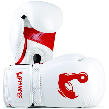 Boxing Gloves 14oz